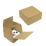 Crashlock Taped Tearstrip Box - 194x194x87mm (Pack of 50)